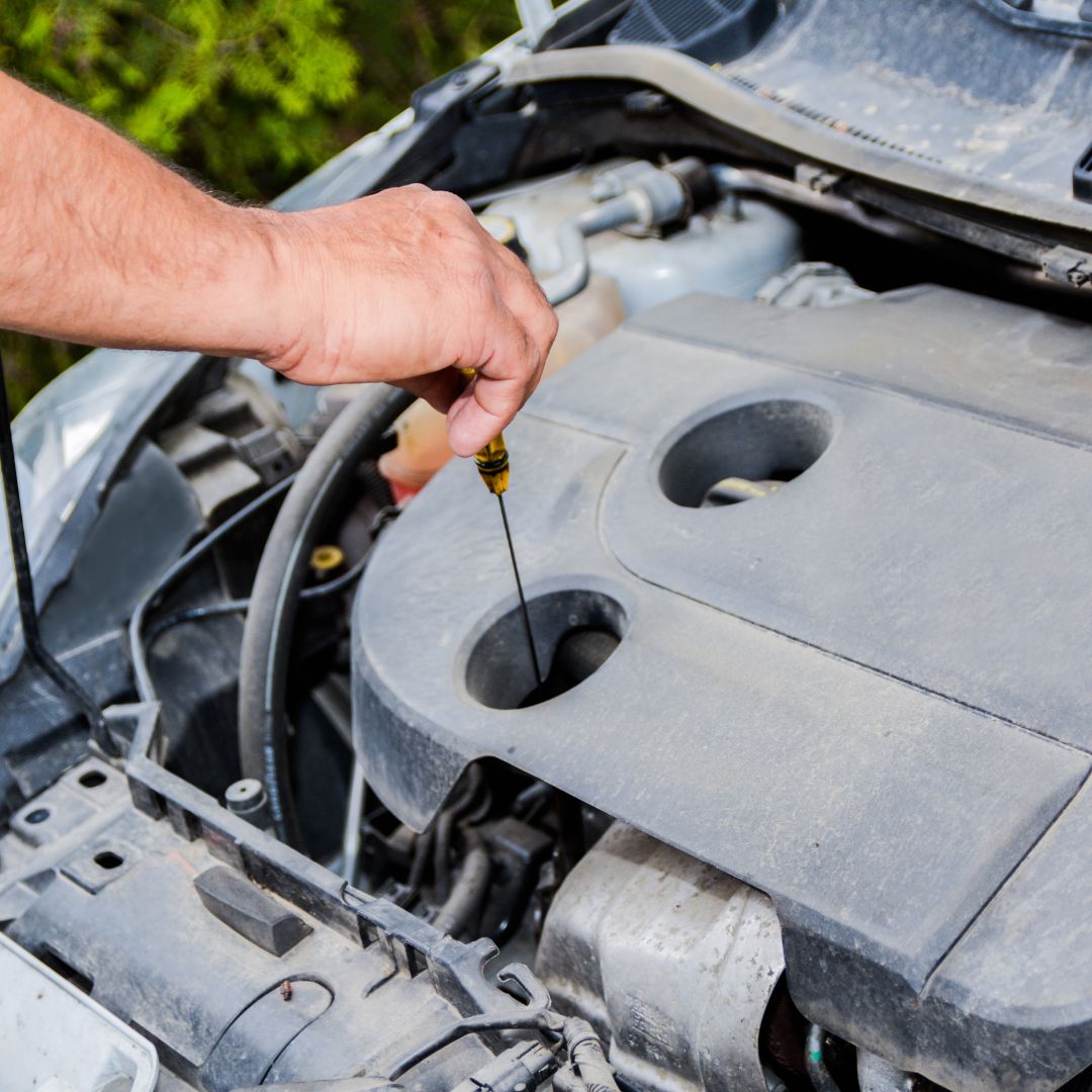 man checking car oil