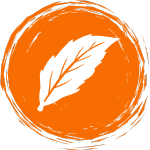 leaf icon